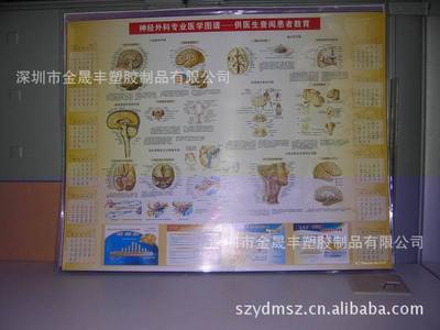 打造零壓力學習空間 防水透明桌墊如何為家庭教育加分
